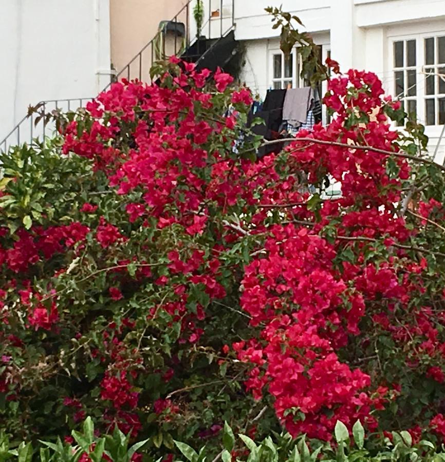 Apartamento Flores *